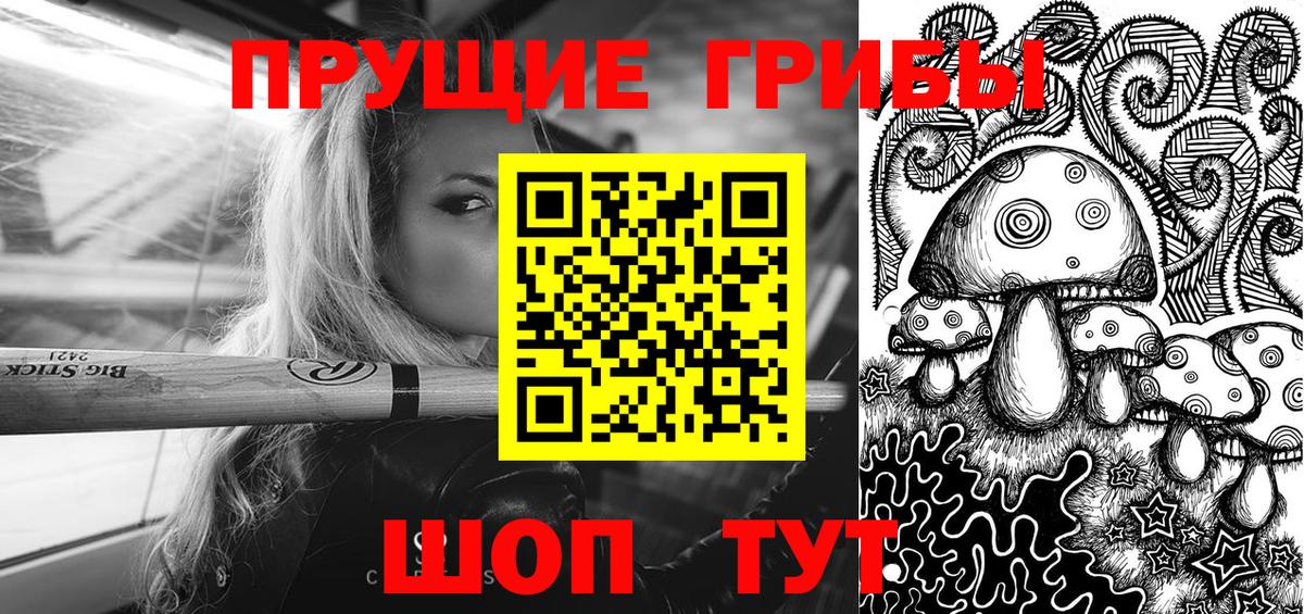 Псилоцибиновые грибы Cubensis  Вход с VPN  Саянск 