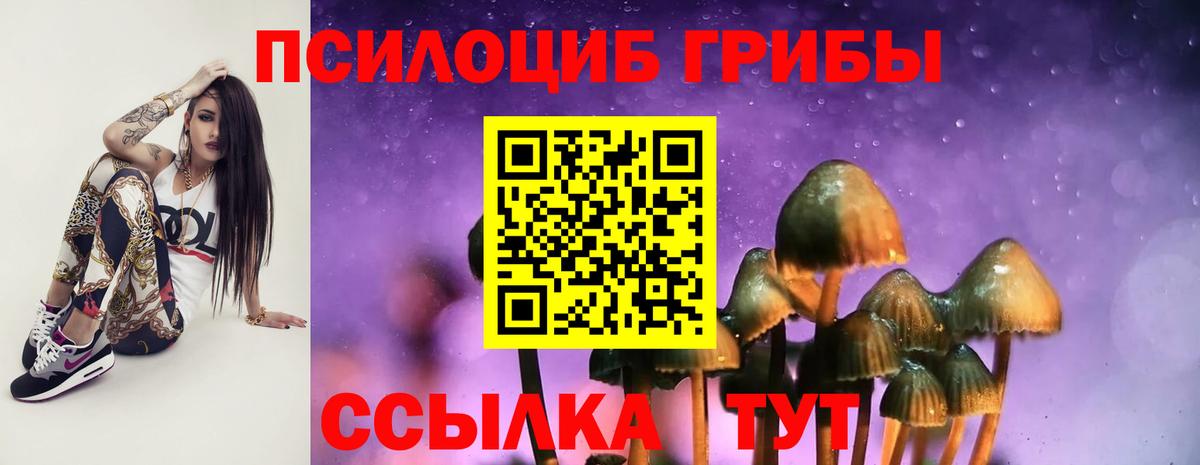 Псилоцибиновые грибы Psilocybine cubensis Саянск